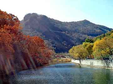 管家婆黑白马报图库，佛山至山东物流